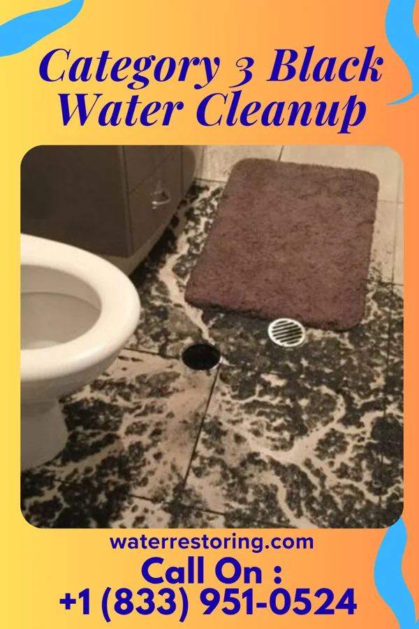 Category 3 Black Water Cleanup in Marquette, MI