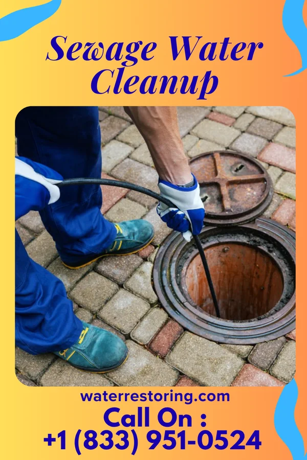 Sewage Water Cleanup in Marquette, MI