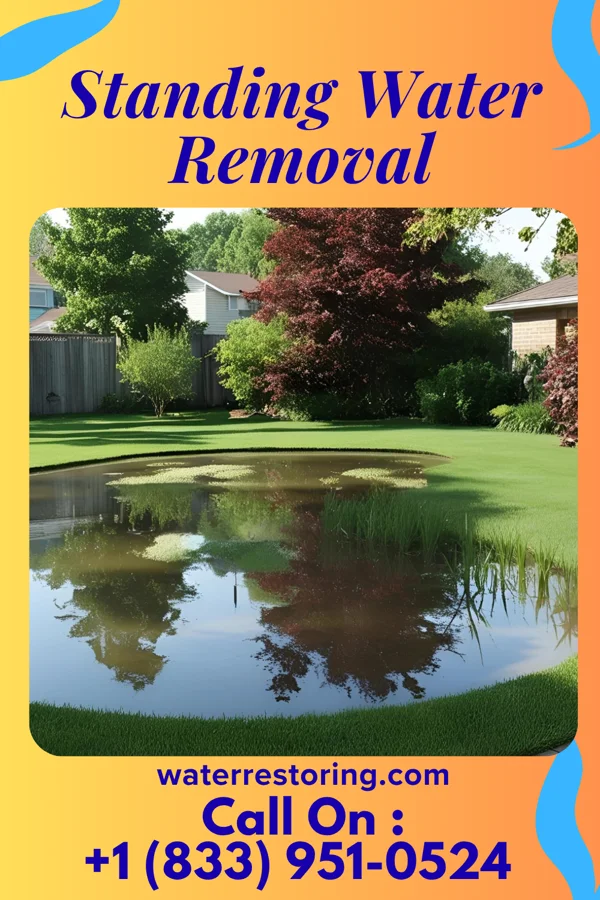 Standing Water Removal in Marquette, MI